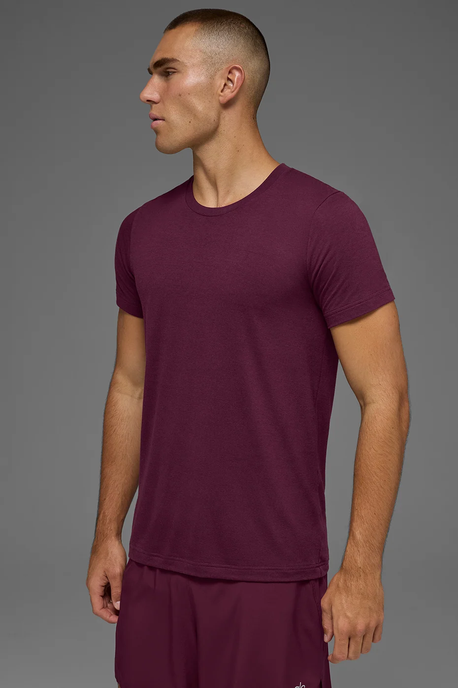 Triumph tee - bordeauxrood