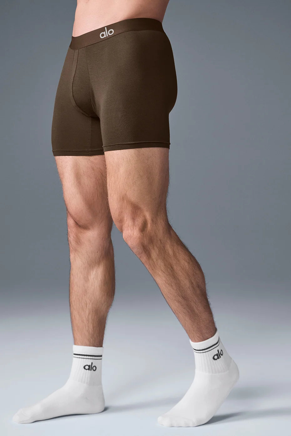 Day and Night Boxer Brief Espresso Soft Modal Underwear