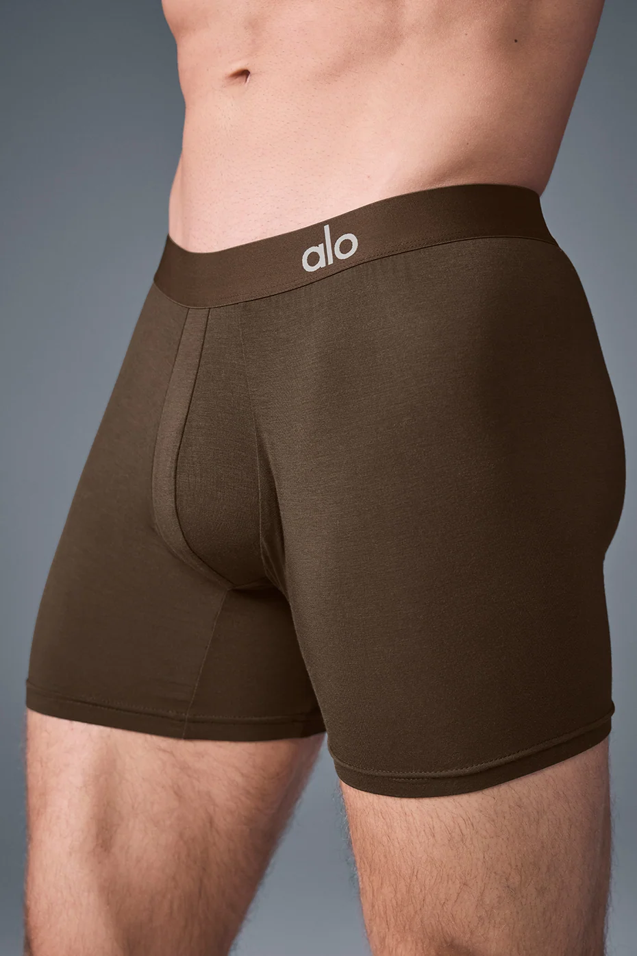 Day and Night Boxer Brief Espresso Soft Modal Underwear