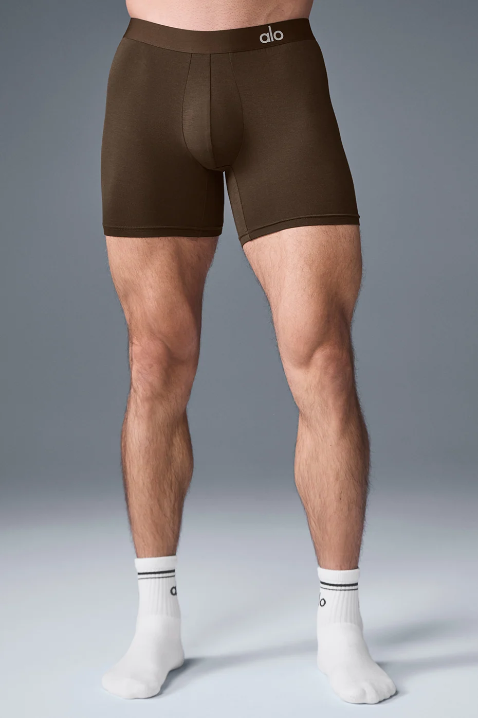 Day and Night Boxer Brief Espresso Soft Modal Underwear